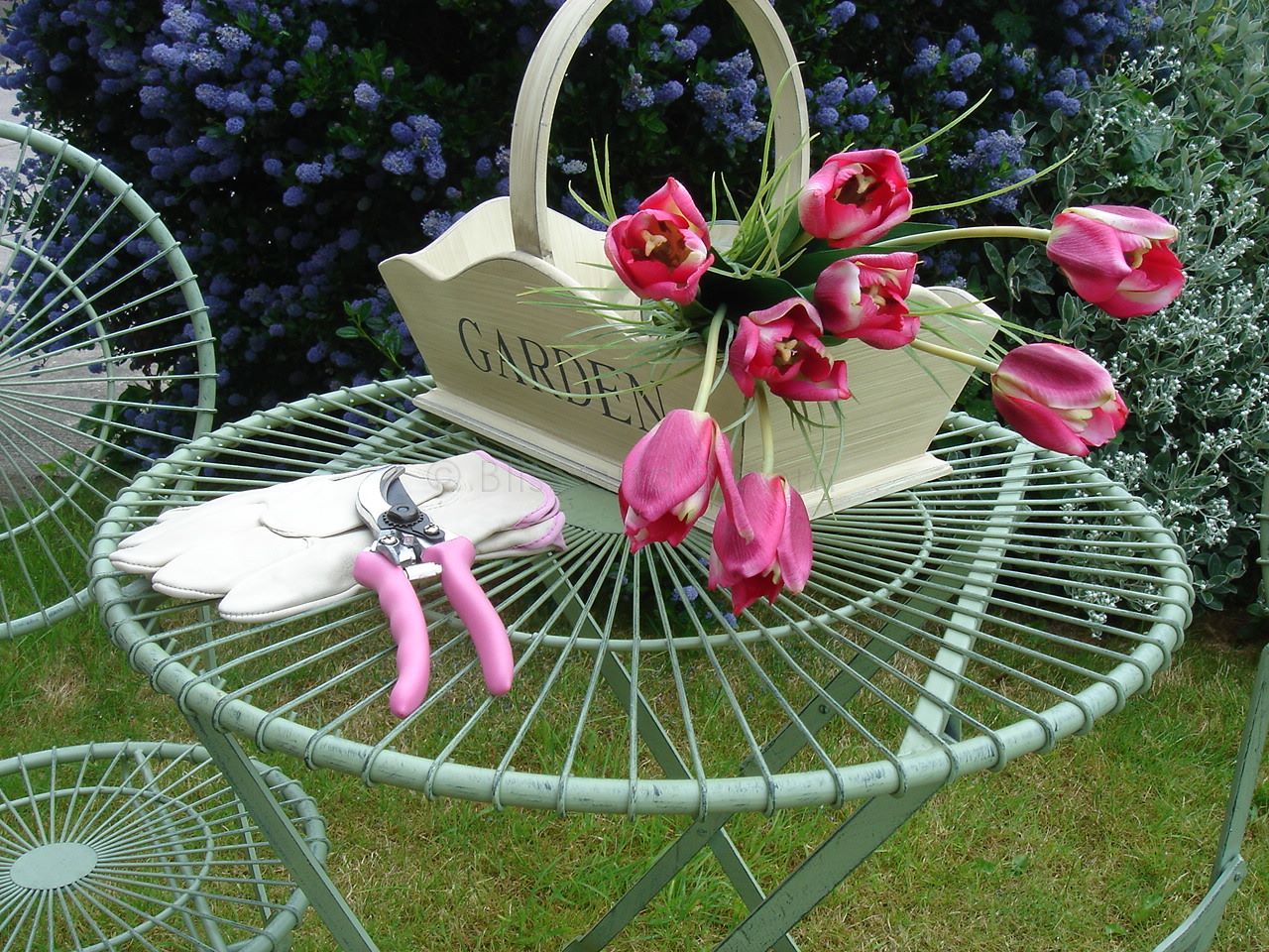 Green wire garden bistro set Bliss and Bloom